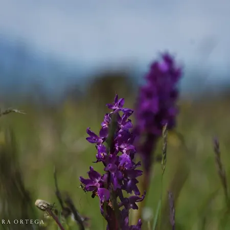 Nocera Hideaway Appartement Nocera Umbra