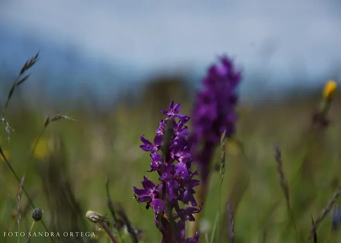 Nocera Hideaway Apartment Nocera Umbra